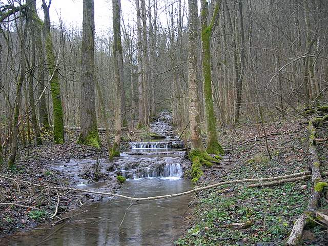 Nel  Regno  della  Jurana